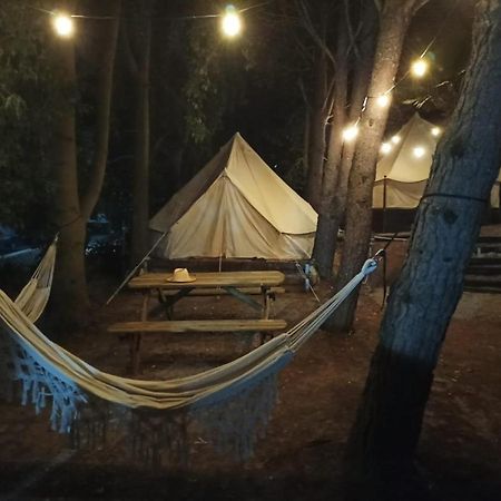 Bungalows Y Glamping Medina Sidonia Kültér fotó