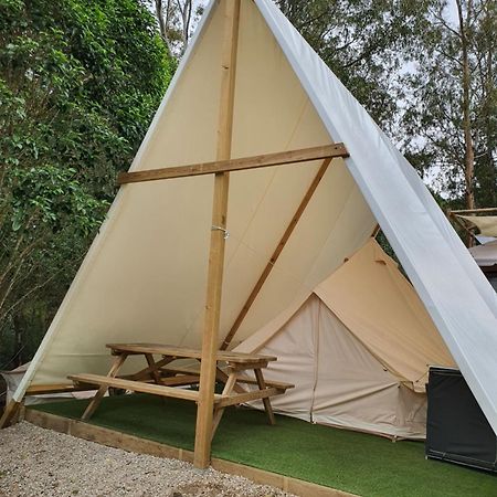 Bungalows Y Glamping Medina Sidonia Kültér fotó