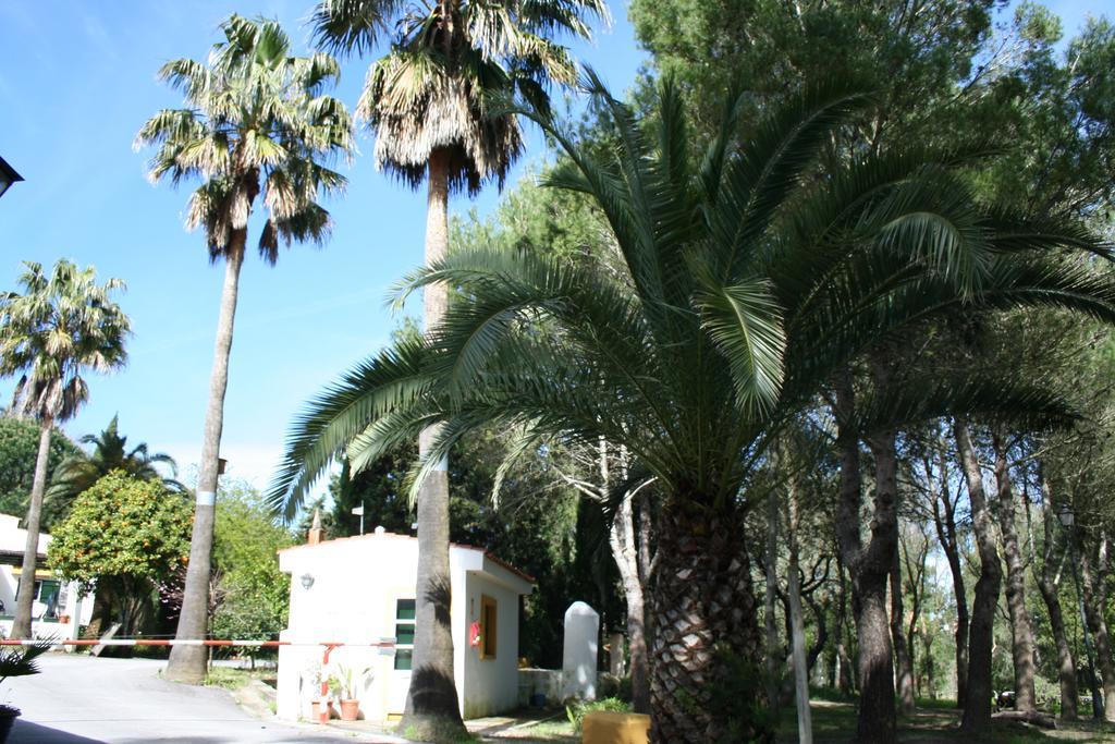 Bungalows Y Glamping Medina Sidonia Kültér fotó