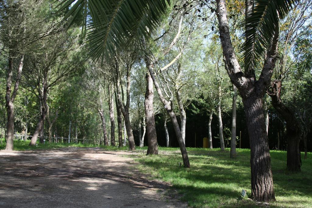 Bungalows Y Glamping Medina Sidonia Kültér fotó